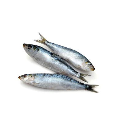 Szardínia 900g Szardínia 900g